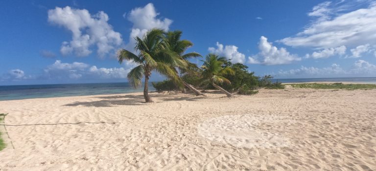 #041 – Antigua und Barbuda